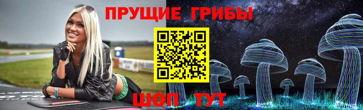 Грозный  Псилоцибиновые грибы Magic Shrooms  закладка  Вход с VPN 